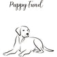 Puppy Fund Bank-New Baby-Personalized-Gift for Boy-Gift for Girl TPUPB25 - The PICKED Unlimited